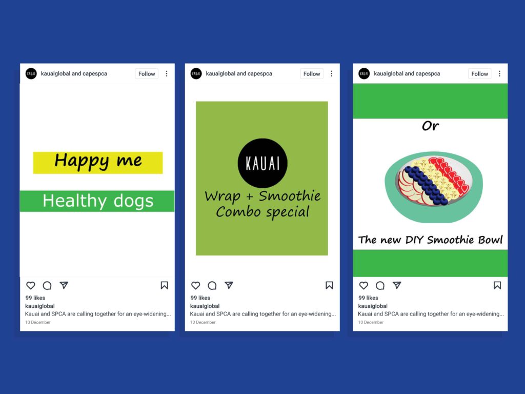 Kauai and SPCA Instagram post - campaigns