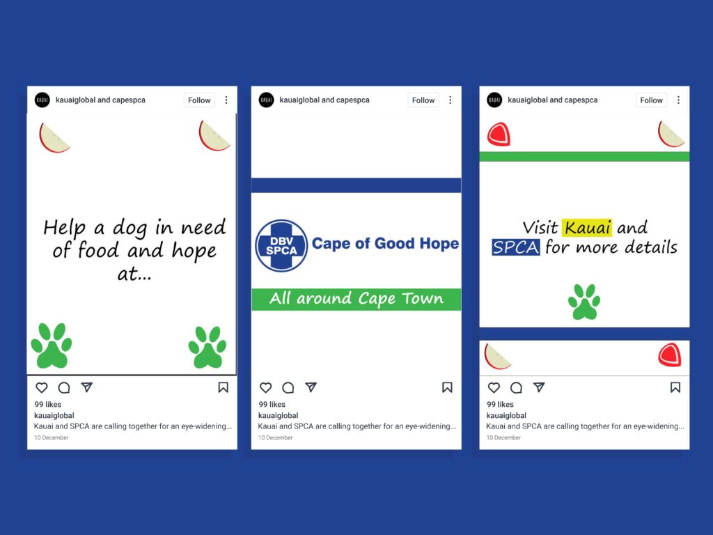 Kauai and SPCA Instagram post - campaigns
